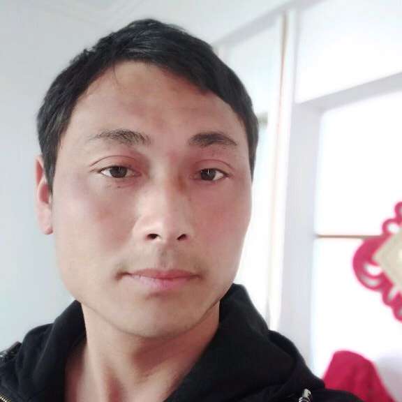 小猫咪闻苹果的照片