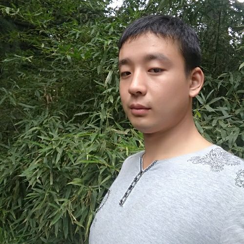 孤独单身汪的照片