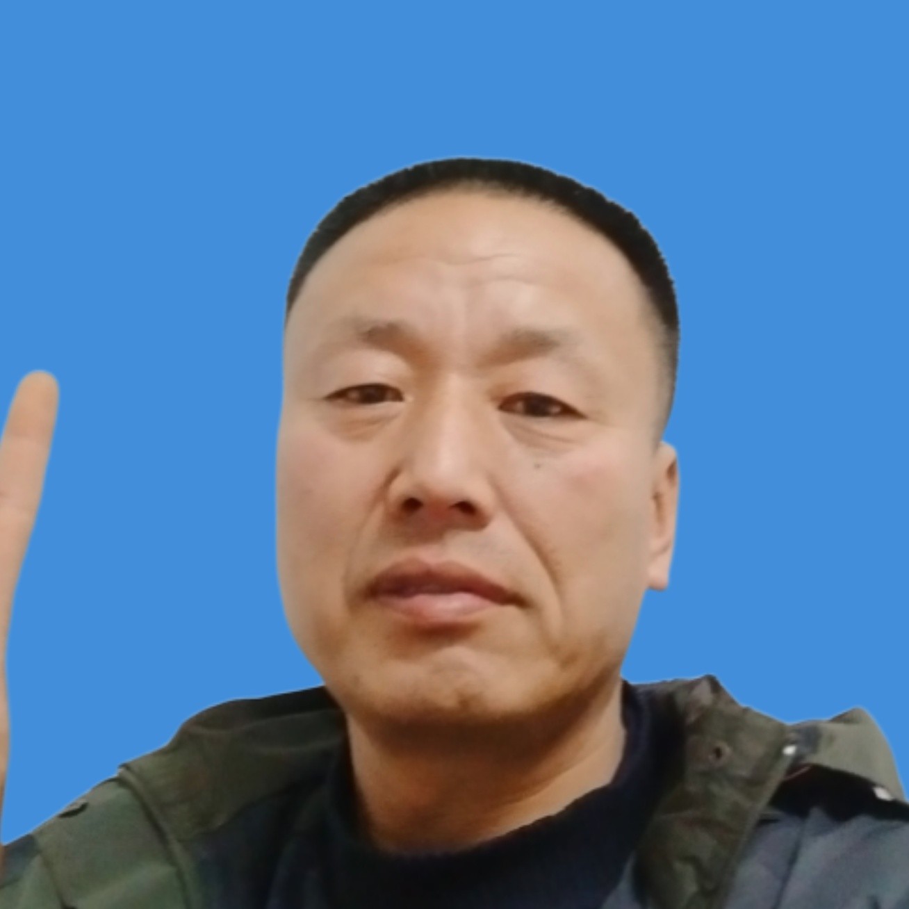 雪白蹁跹孤心的照片