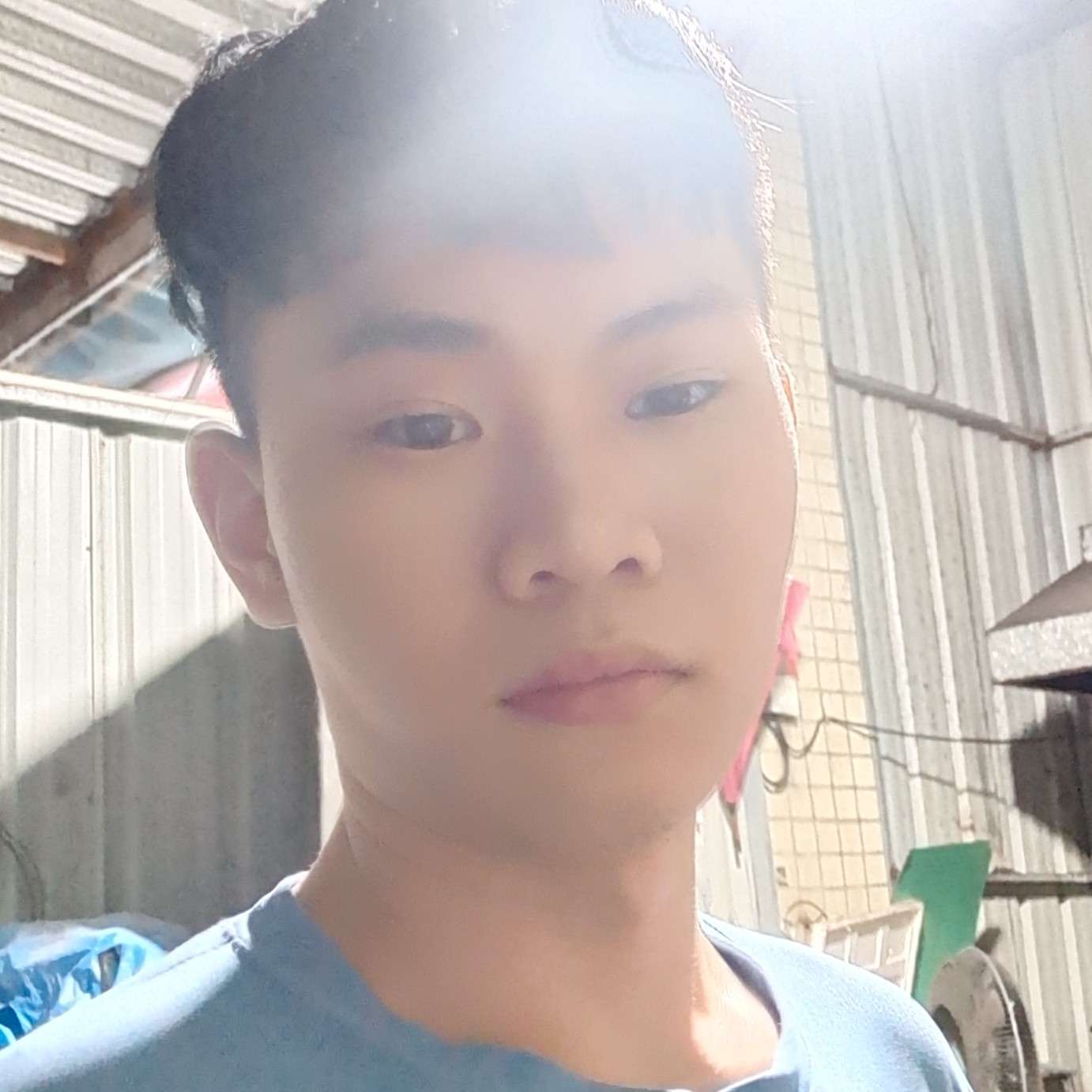精明改变枫叶的照片