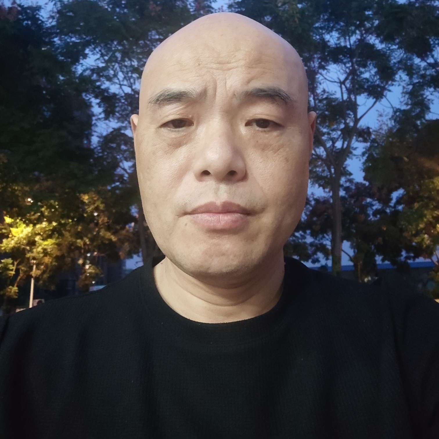 开朗保卫小鸽子的照片