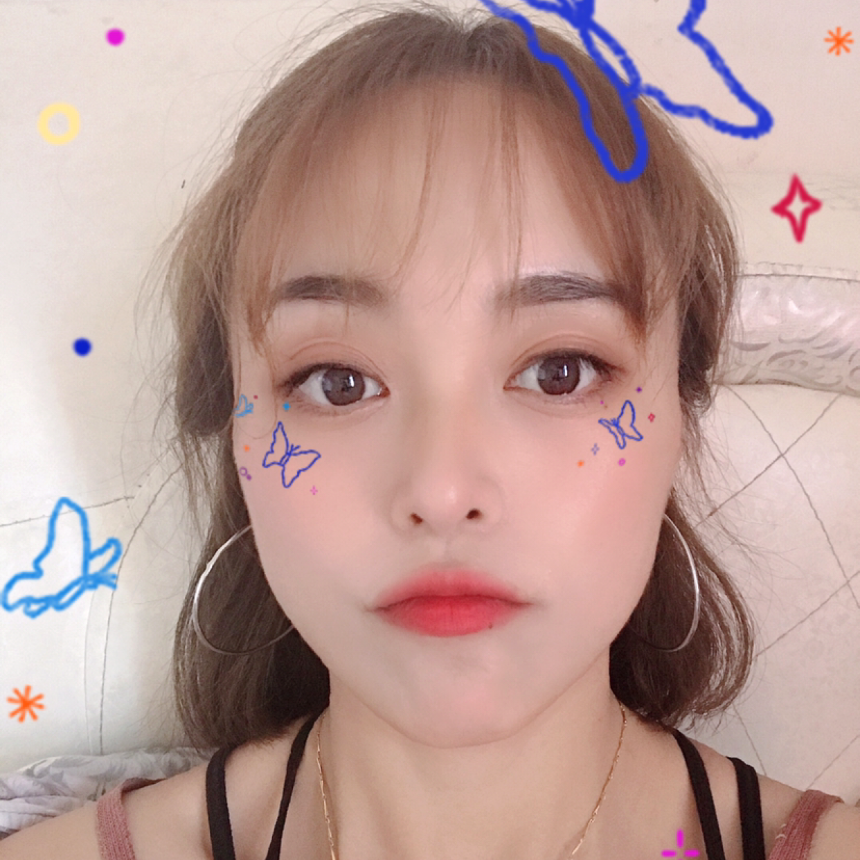 害怕蹁跹仙人掌的照片