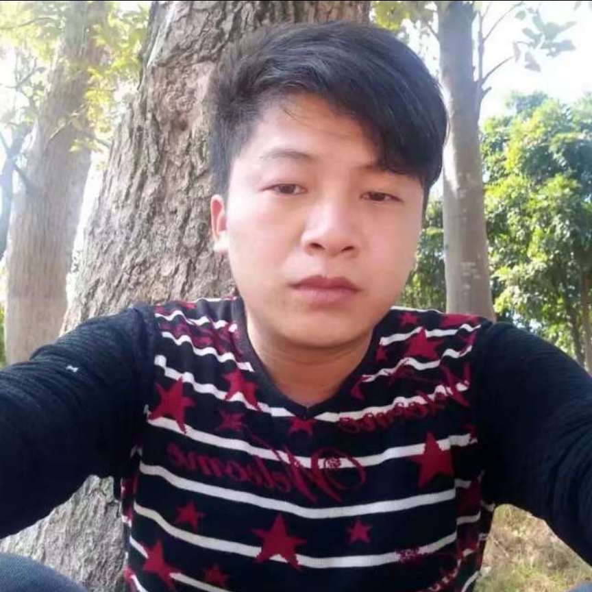 无垠拾忆玫瑰的照片