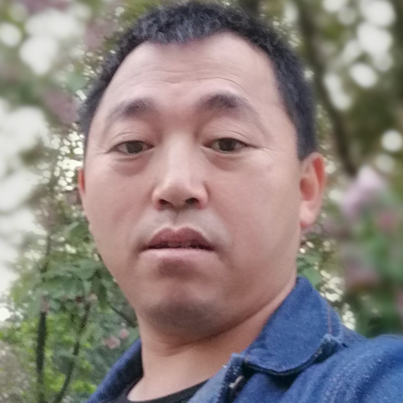 小懒猪魁梧的照片