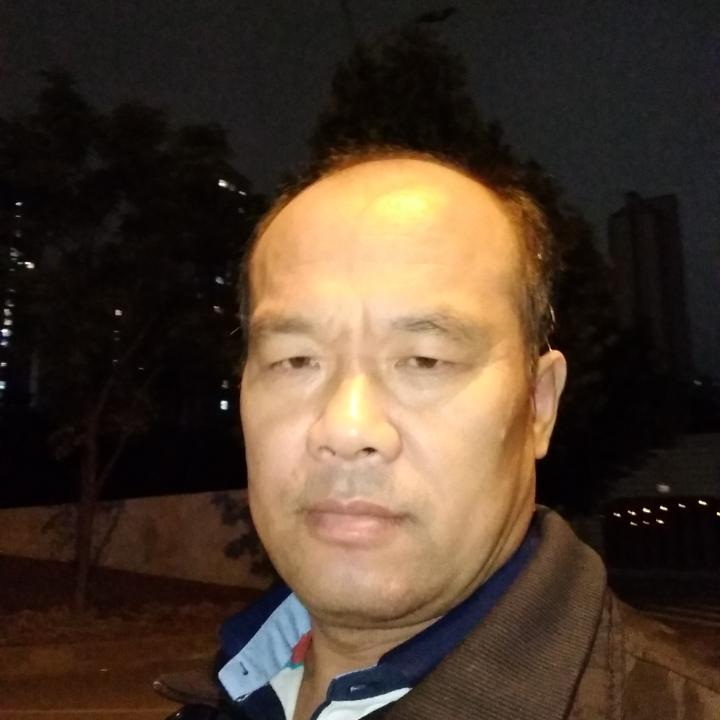 太阳柔弱的照片