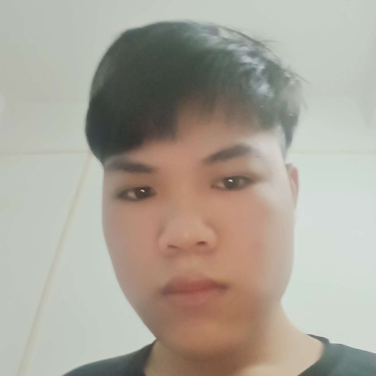 草丛請酷炫的照片