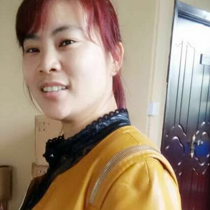 冰心玫瑰的照片