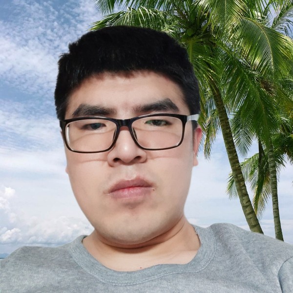 光亮浅吻小蜜蜂的照片