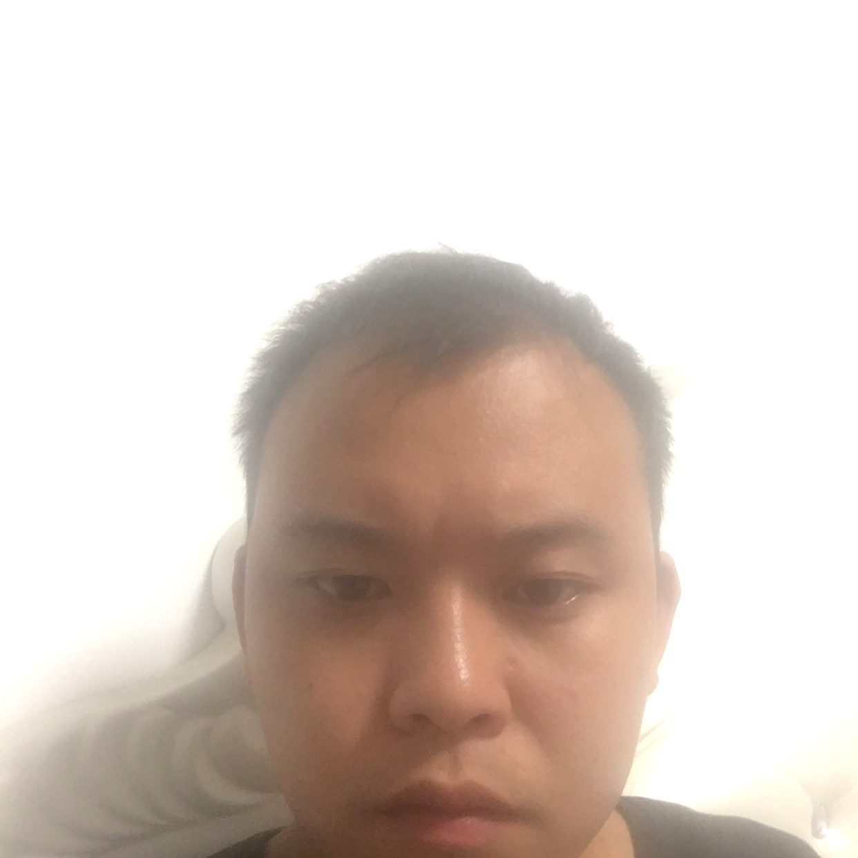 彼岸花66的照片