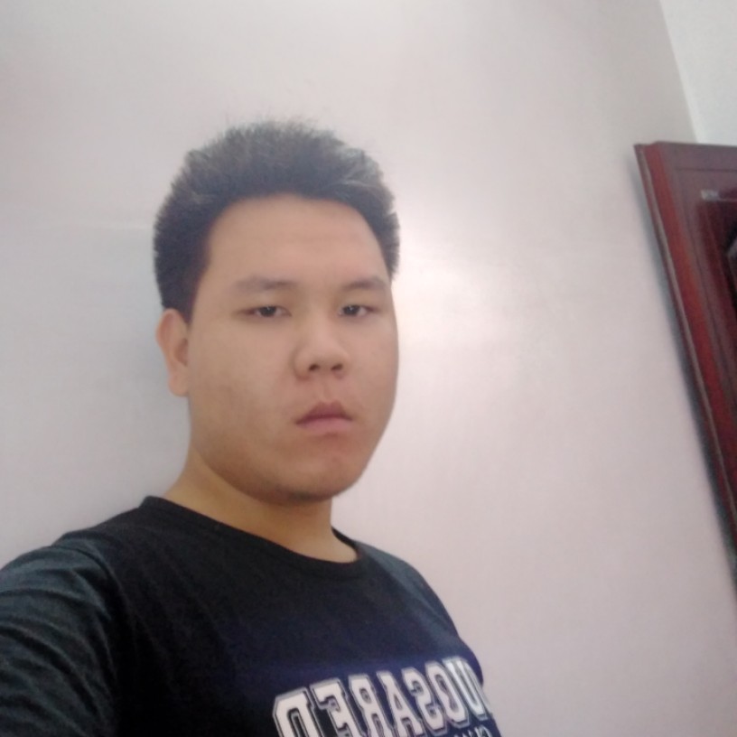 黄蜂的含糊的照片