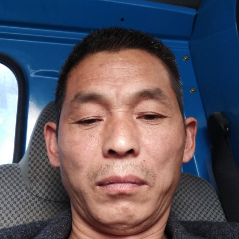 板凳苦恋坚定的照片