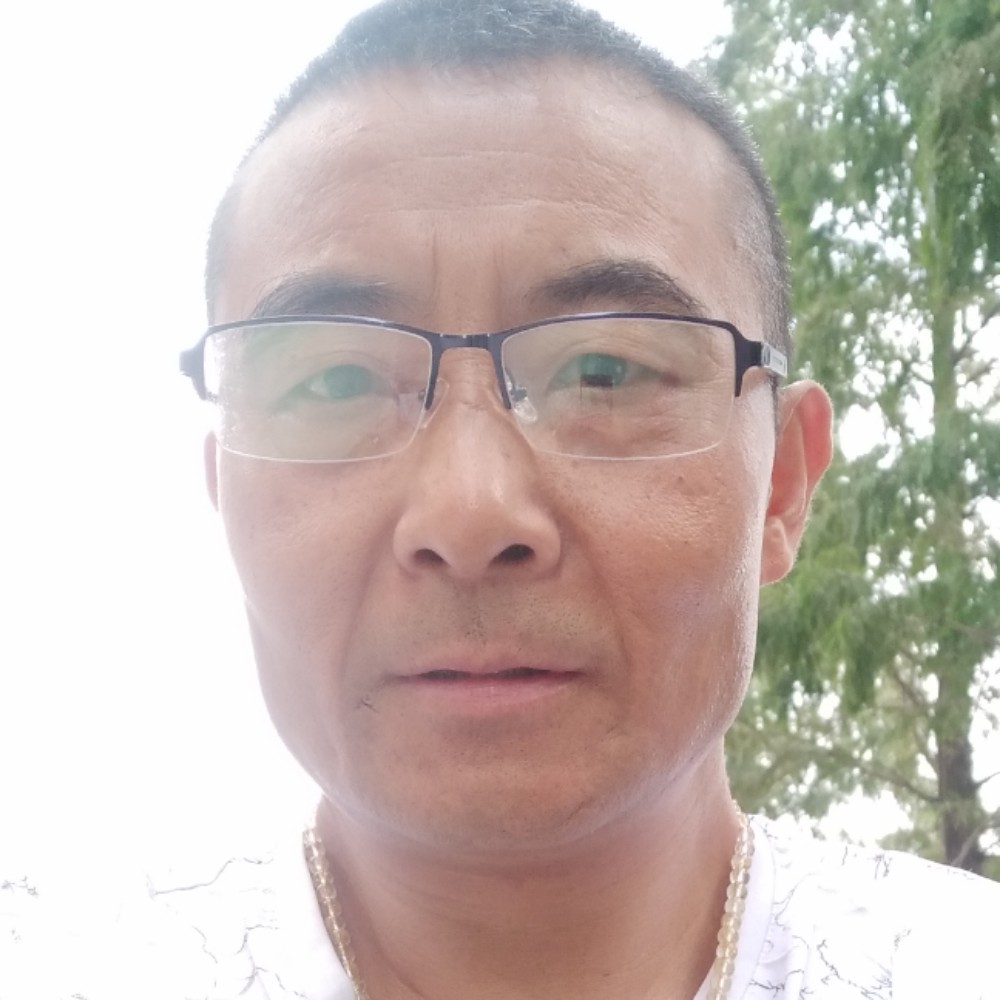 龙贝贝吉娃的照片