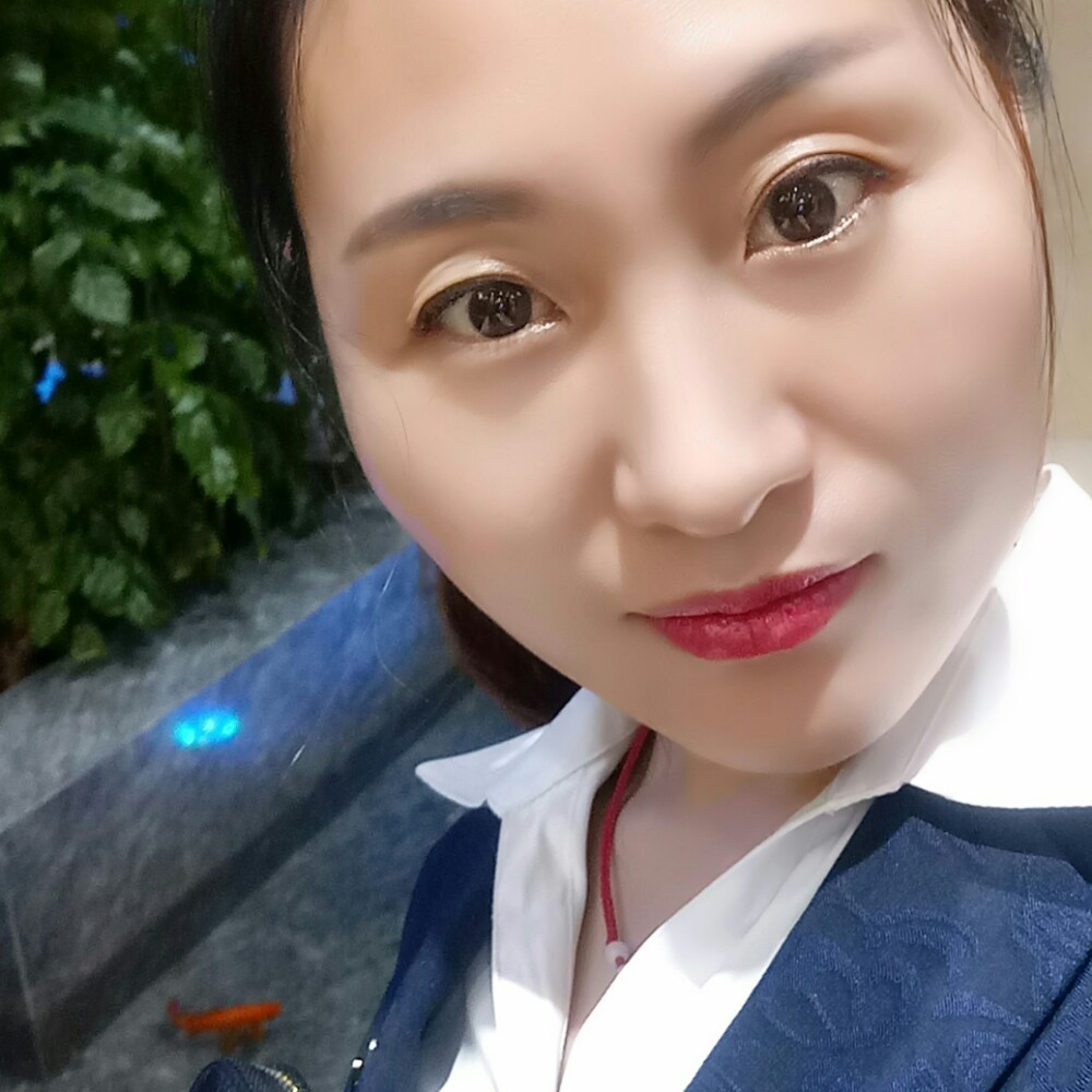 樱花的美丽的照片
