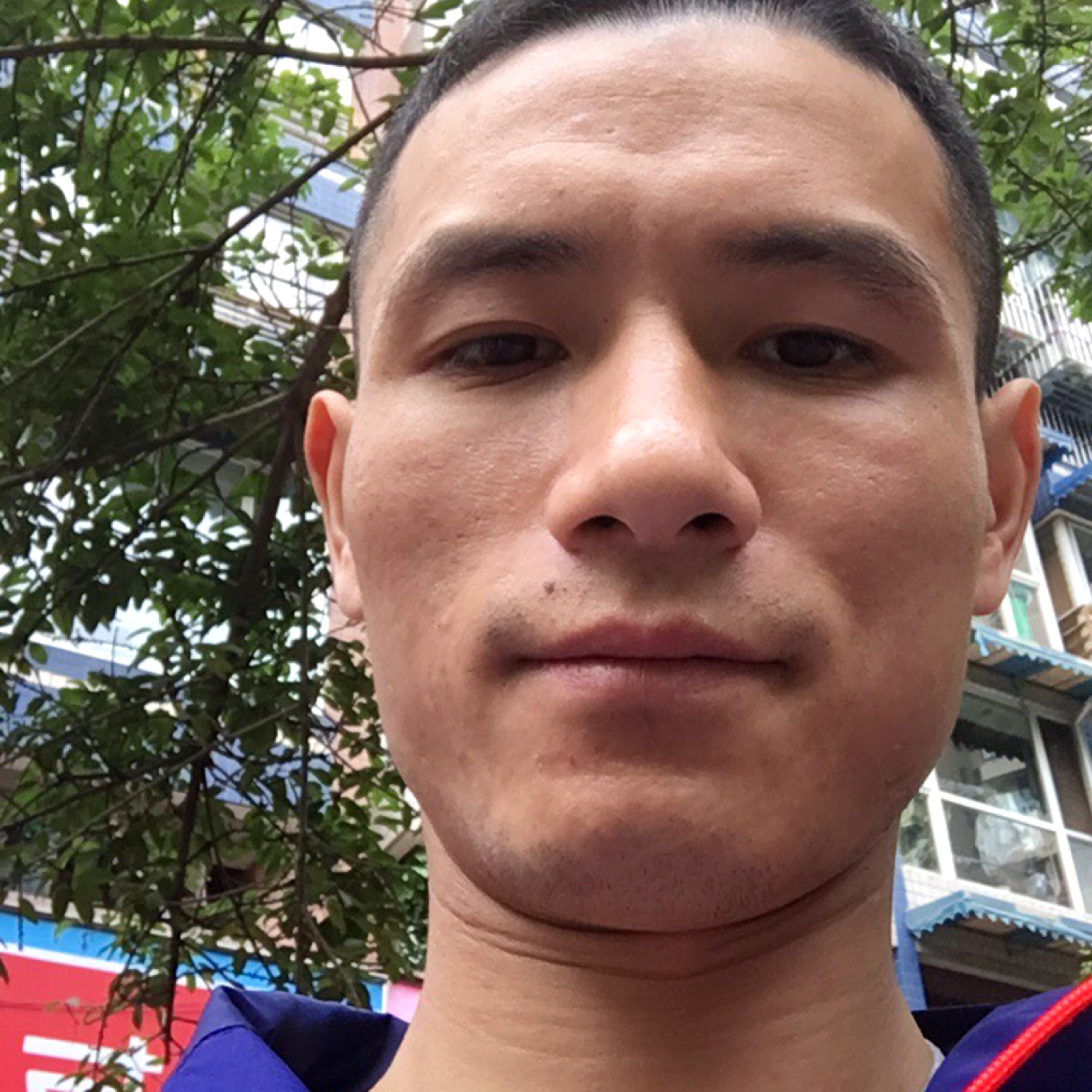 我是一只来北方的的照片
