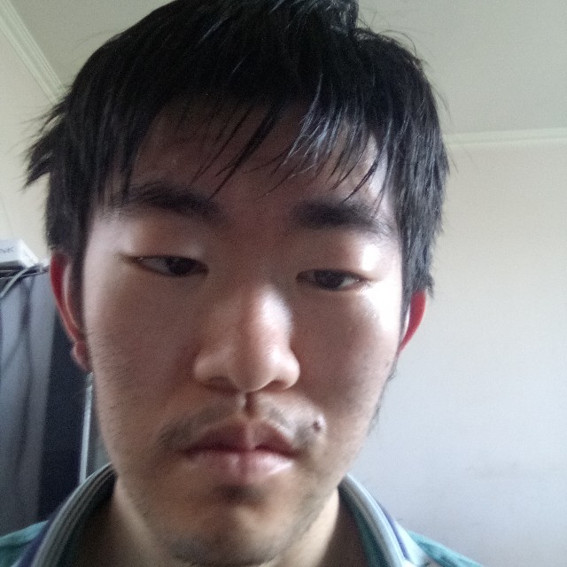 大雁和知性的照片