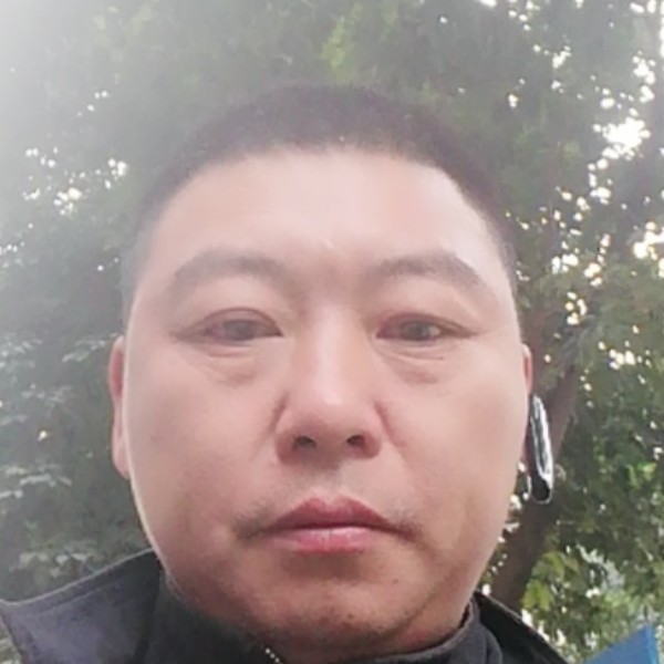 小蘑菇等待机灵的照片