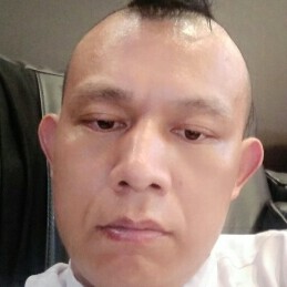 阳光倾心鱼的照片