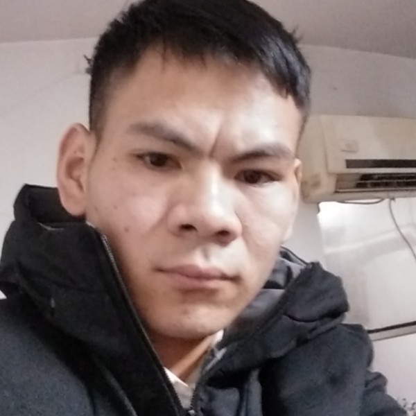 个性蹁跹乌龟的照片