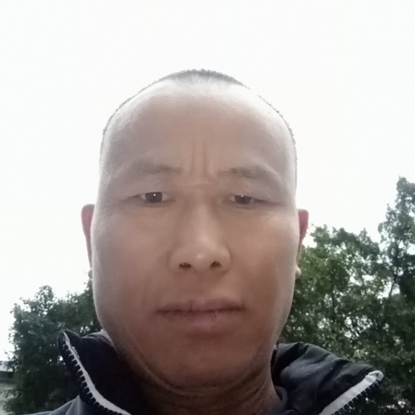 棒球回眸想人陪的照片