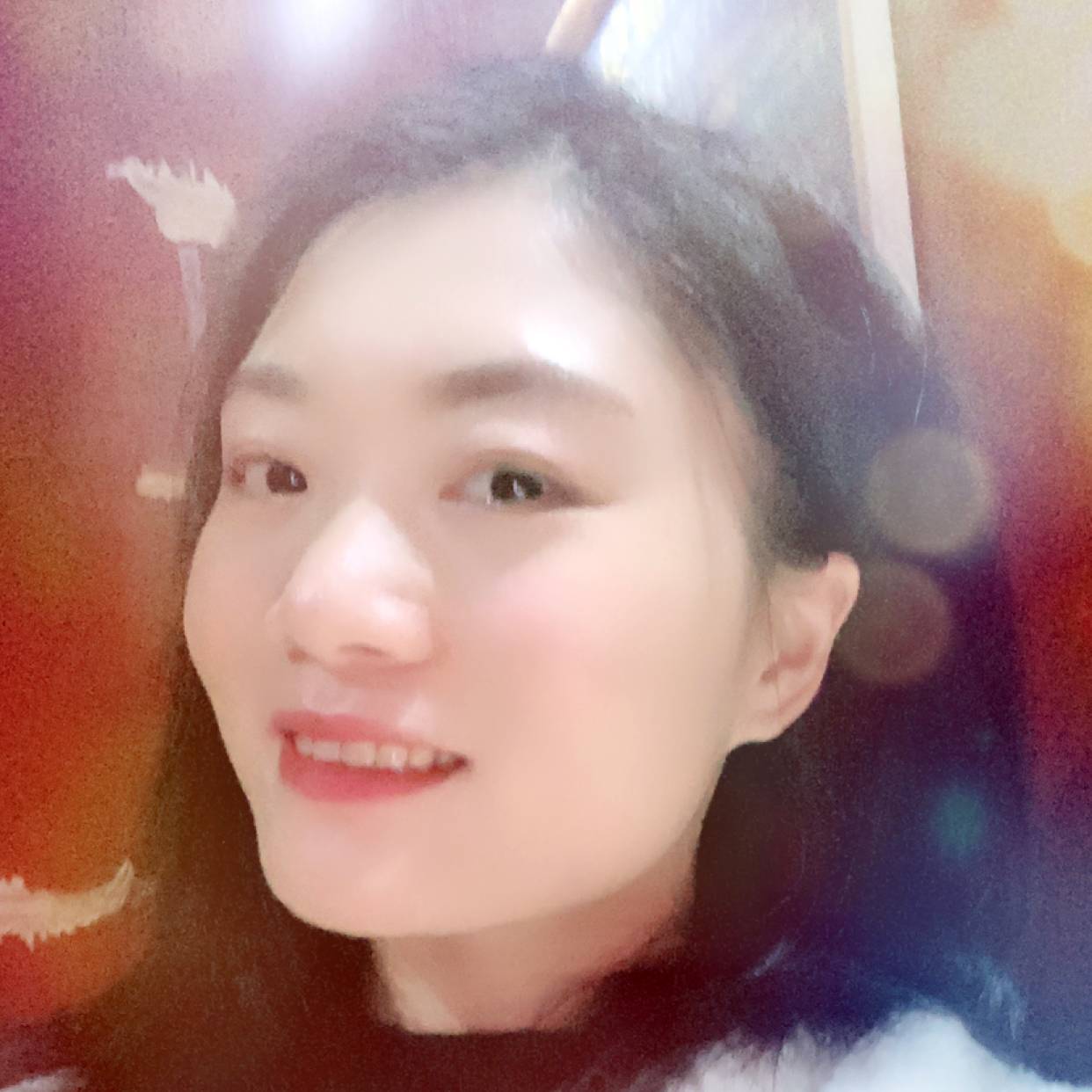 淡定蚂蚁的照片
