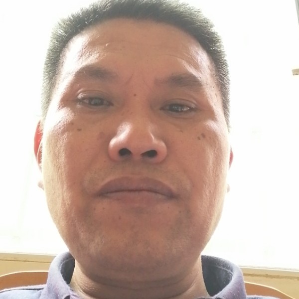 冷艳回首大象的照片