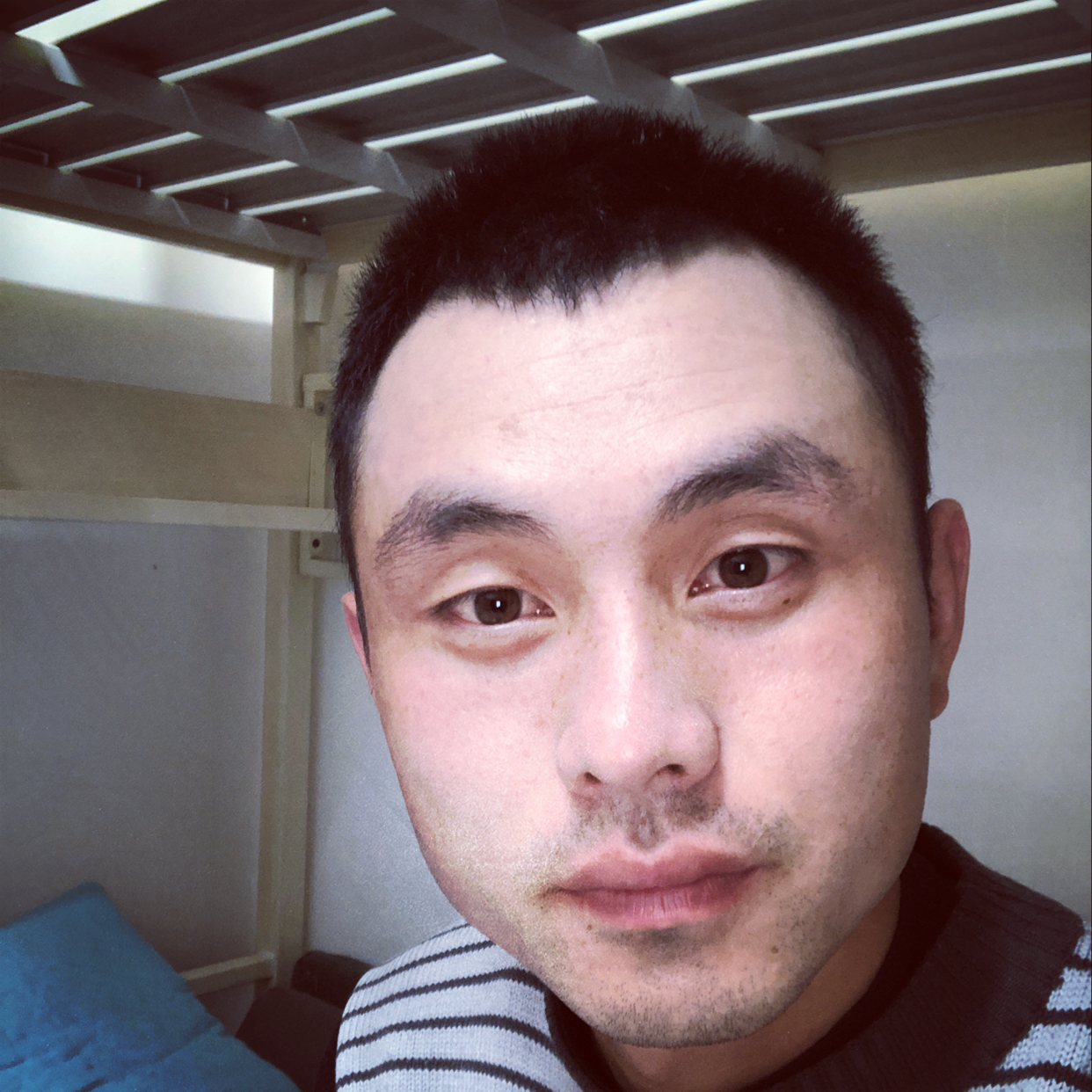 夏露壮观的照片