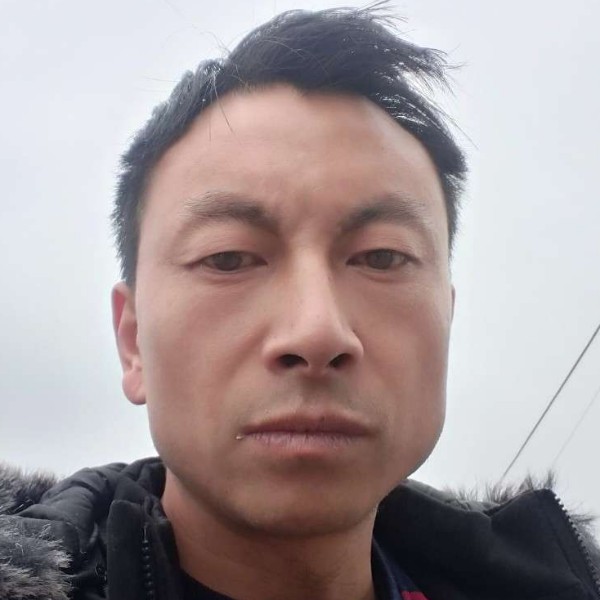 拼搏和黄豆的照片