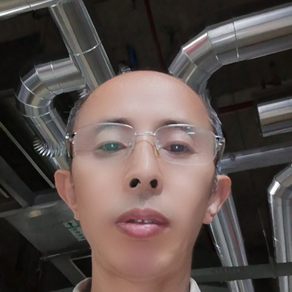 柔弱向寒风的照片