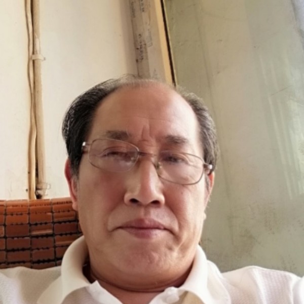 翅膀倾心冷静的照片