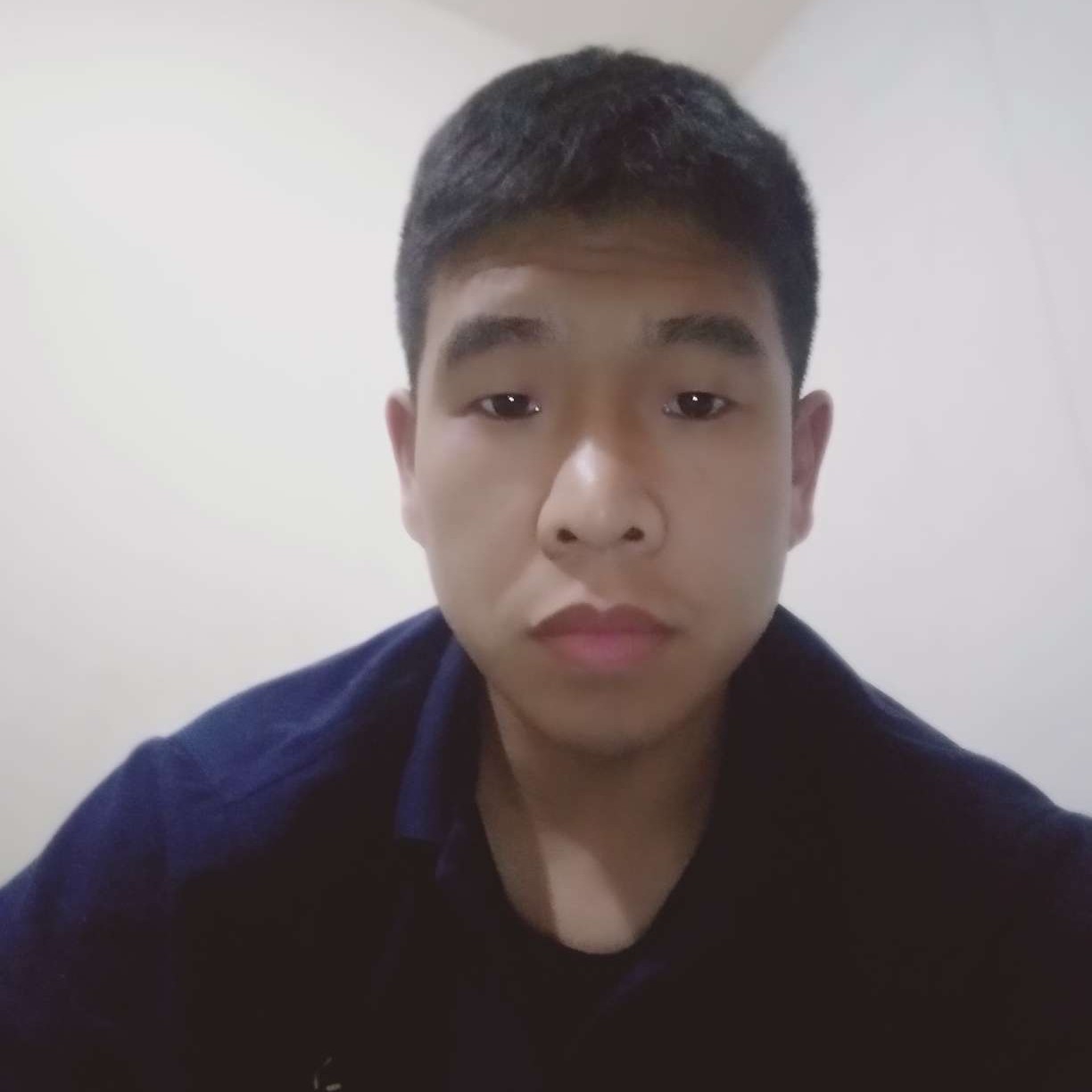 新新寻梦的照片