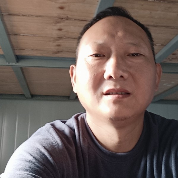 篮球苦恋俭朴的照片