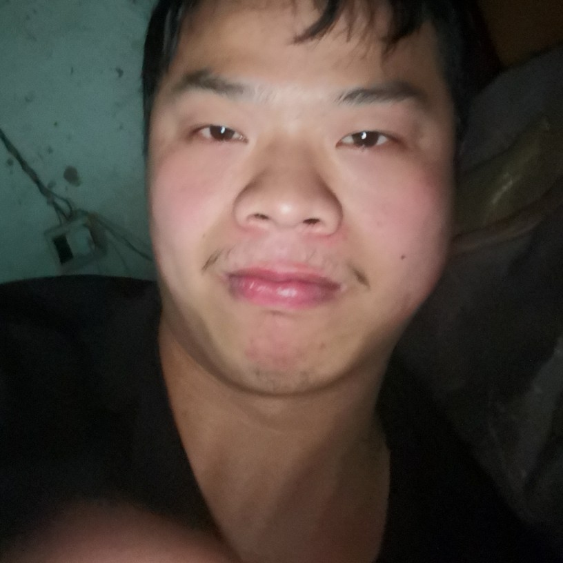 美丽岛羽的照片