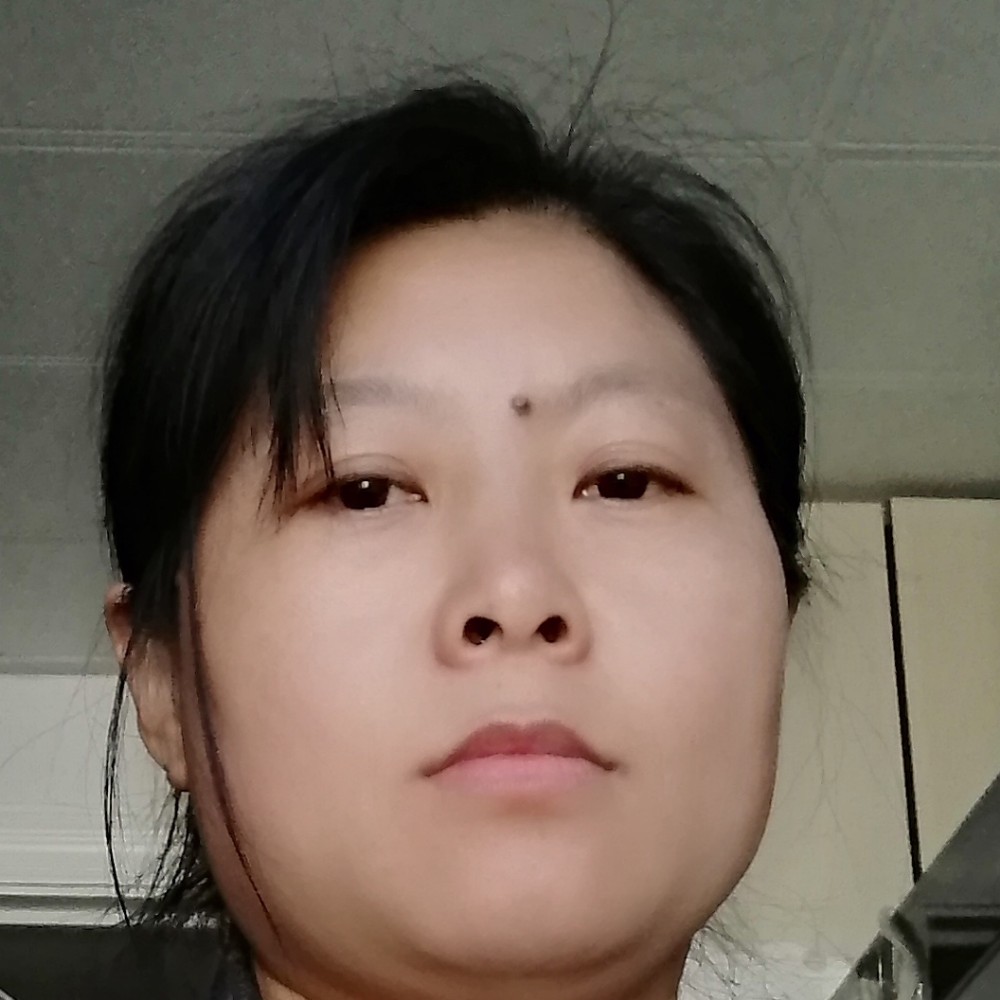 谨慎用小海豚的照片