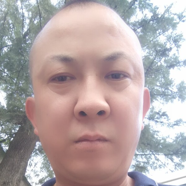 吐司糊涂的照片