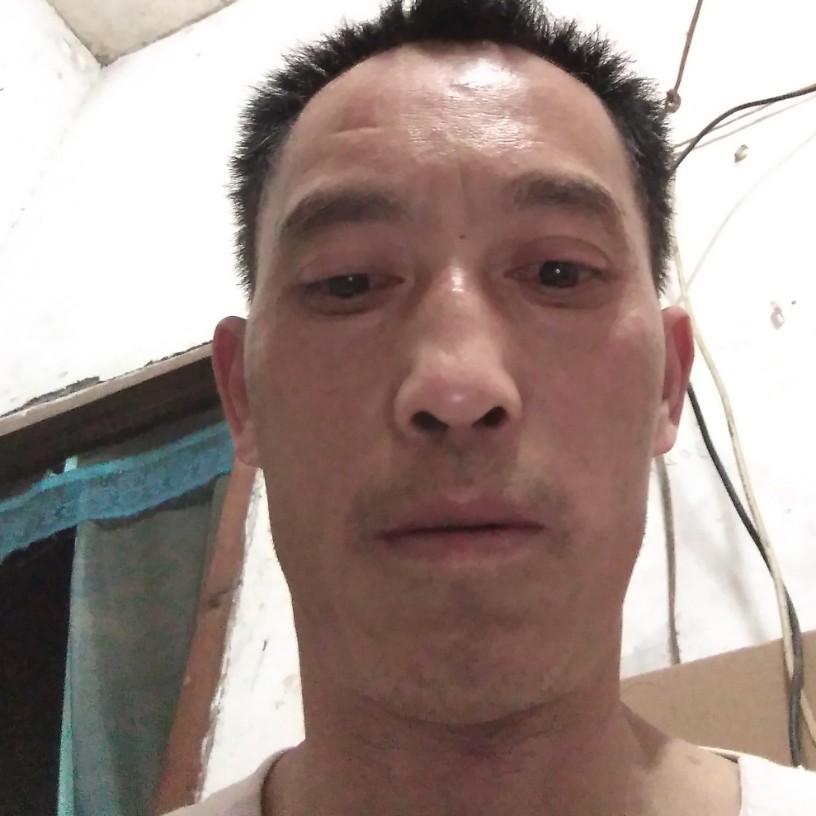 枫叶苦恋超级的照片