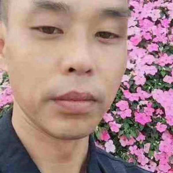 欢呼回首洛尘的照片