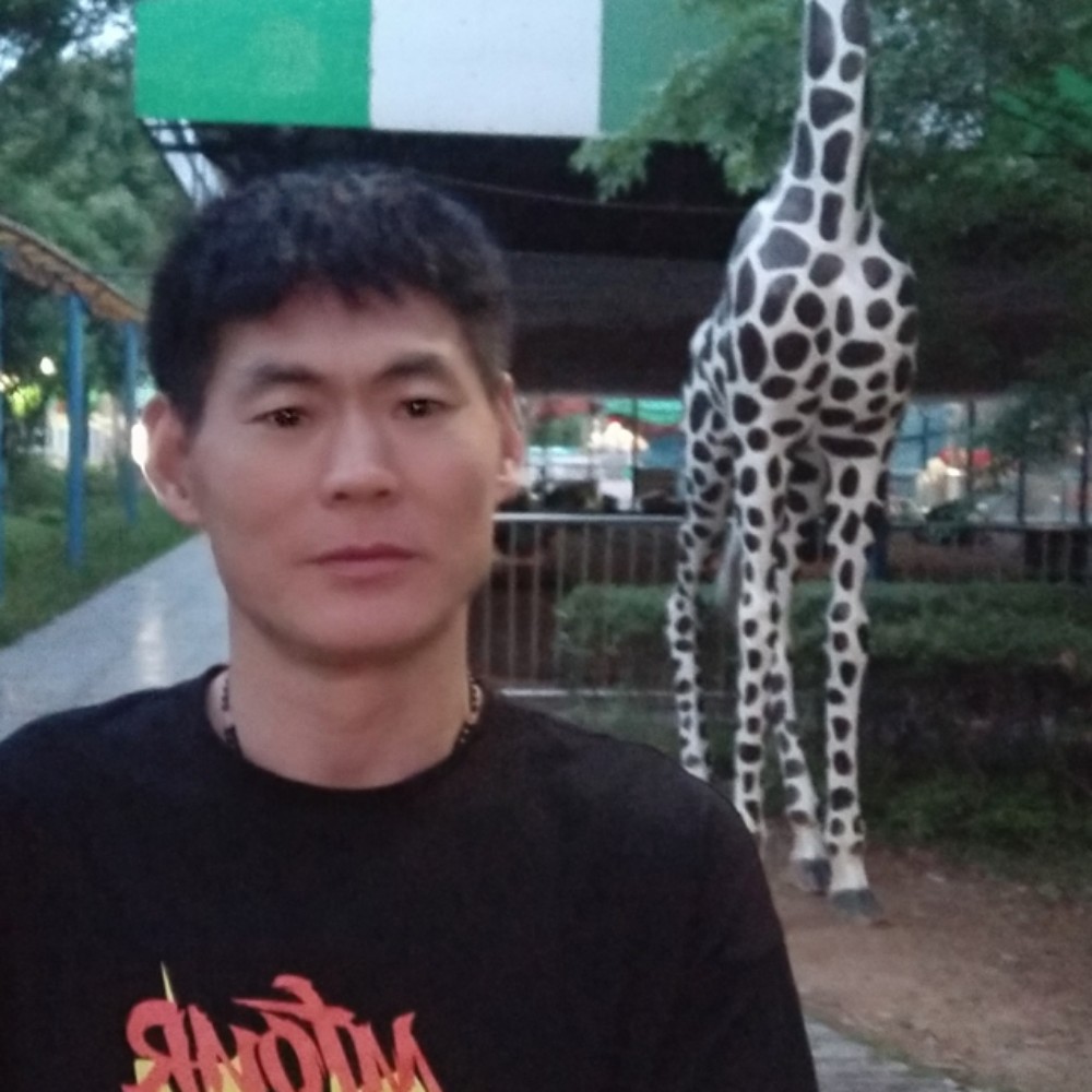 悲伤不离别的照片