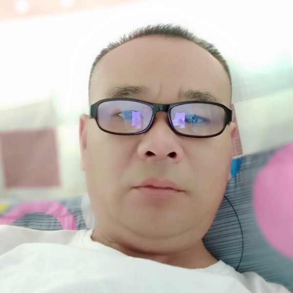 猫咪爱恋贪玩的照片