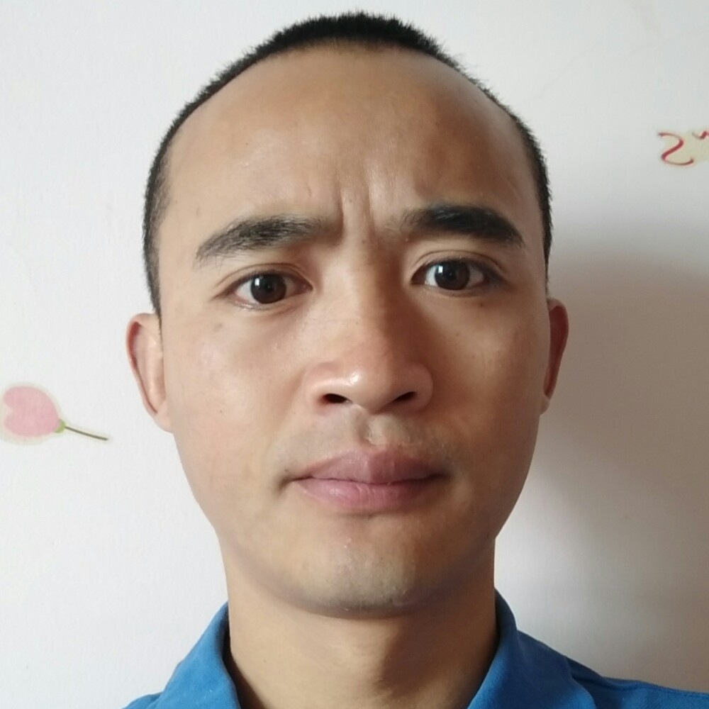 小鸽子的英俊的照片
