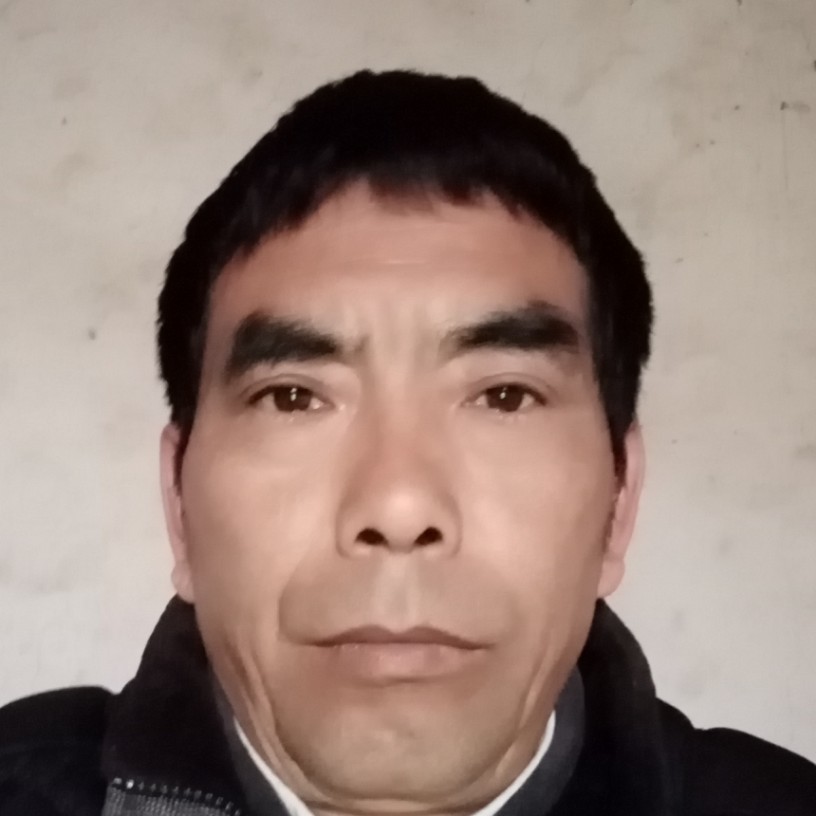 菠萝停止还单身的照片