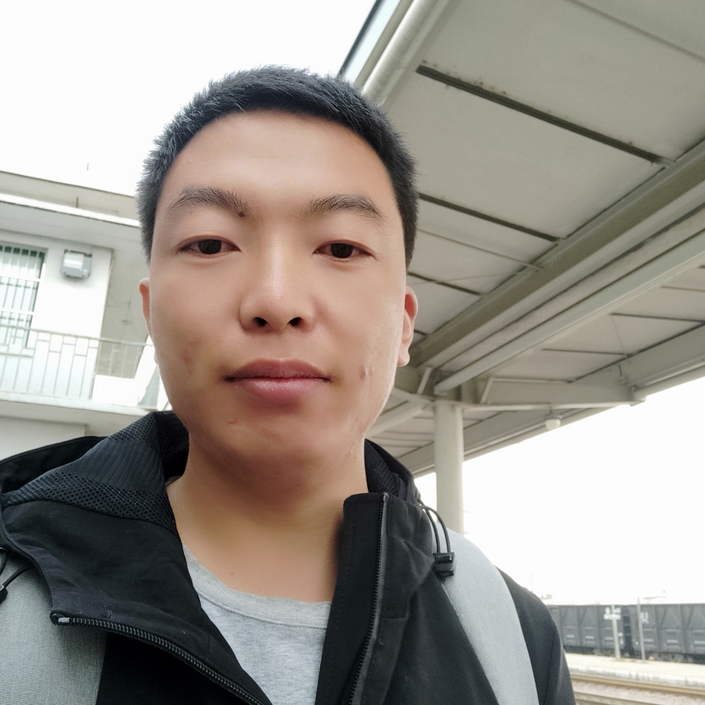鱼与鸟的照片