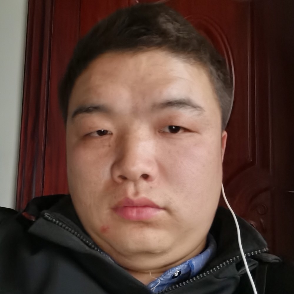 灰狼的谨慎的照片