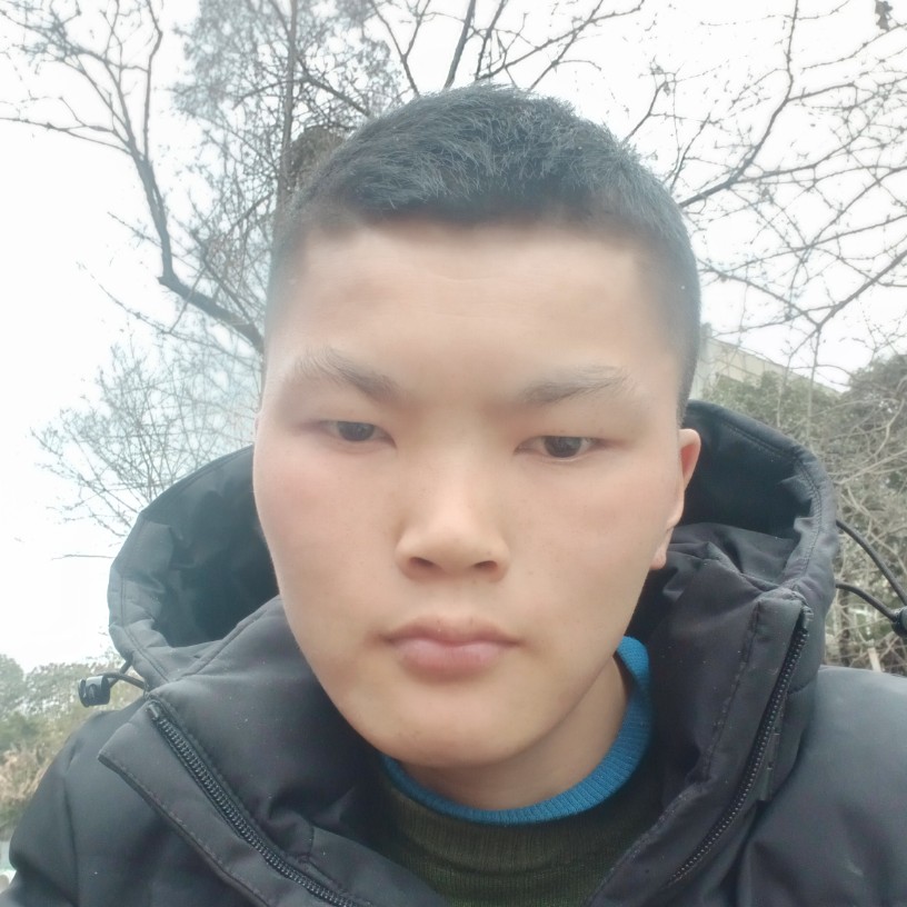 百合向深情的照片
