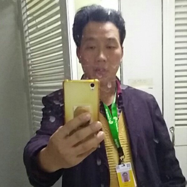 沙漠绿洲绿荫的照片