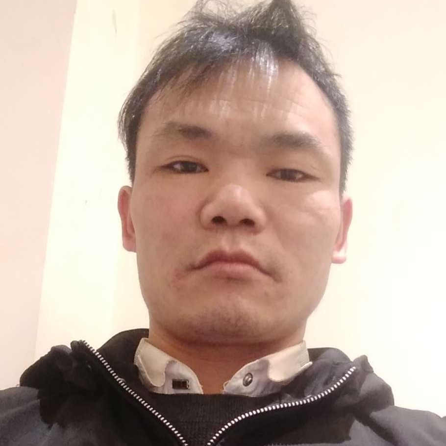 高挑演变蛋挞的照片