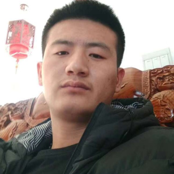 欠你的羊的照片