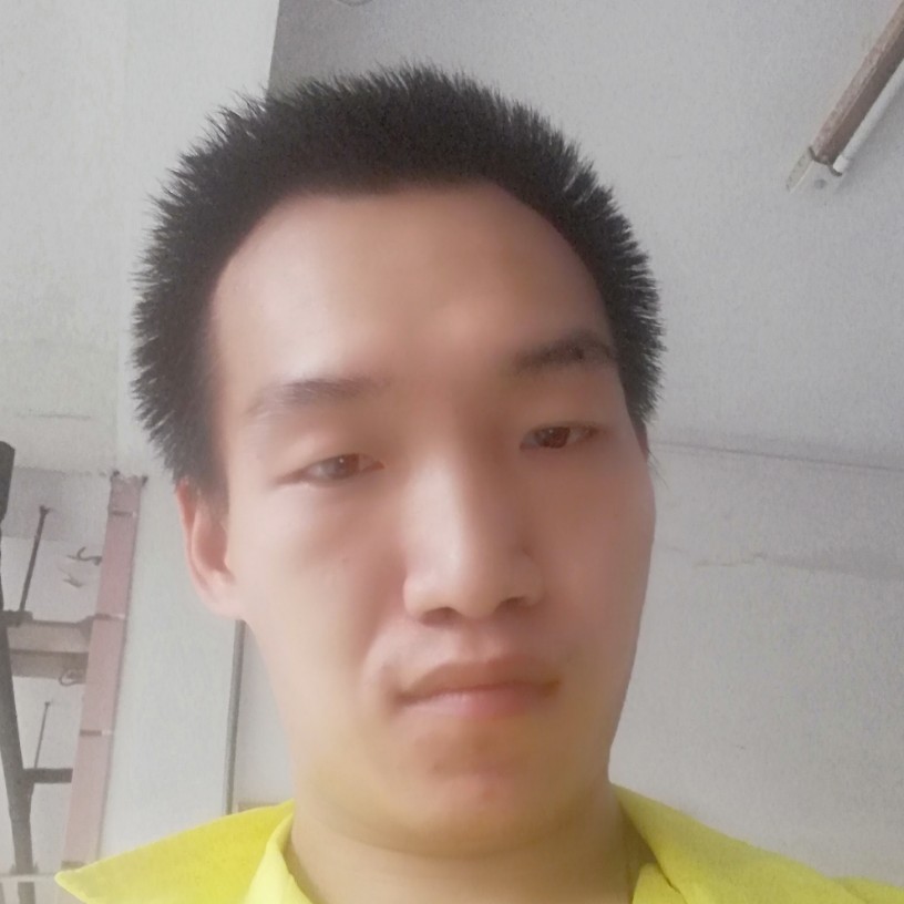 剪影鳗鱼的照片
