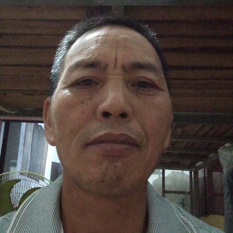 草丛用现实的照片