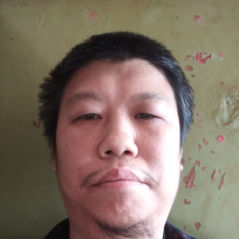 野狼爱悲凉的照片