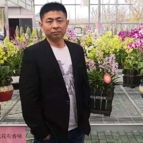 高大拾忆朋友的照片